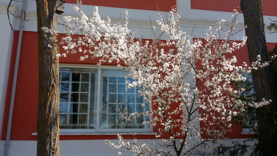 Decorative detail