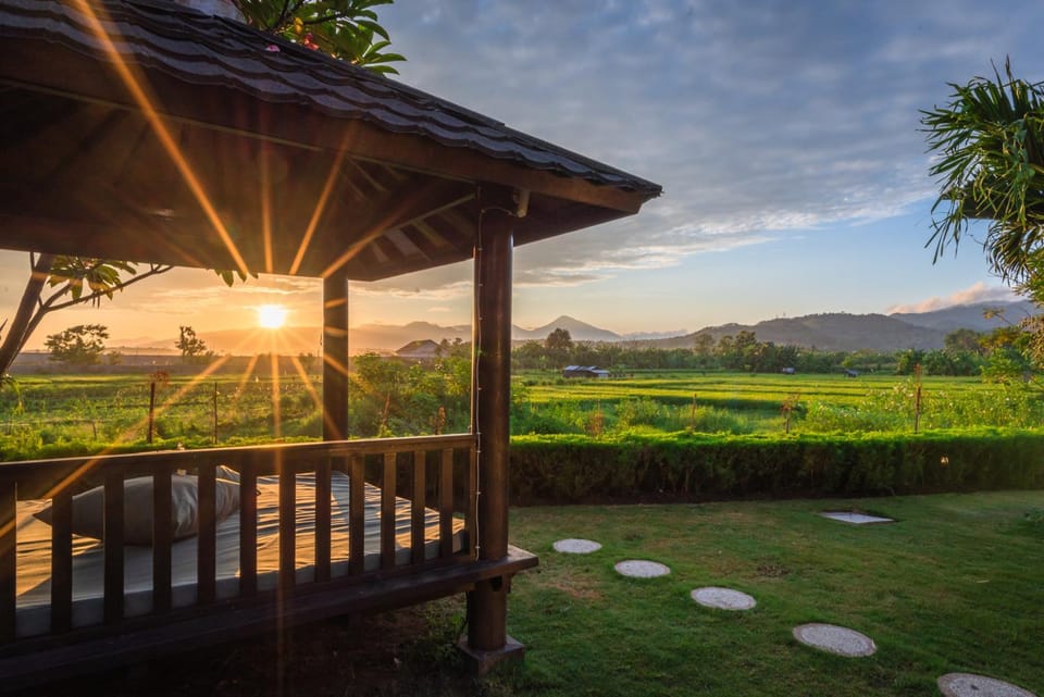 Garden, Sunset