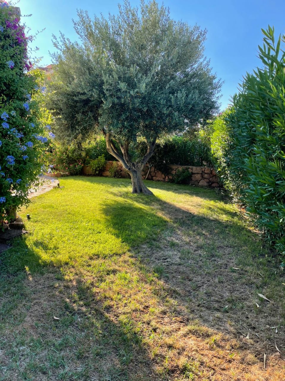 Natural landscape, Garden, Garden view