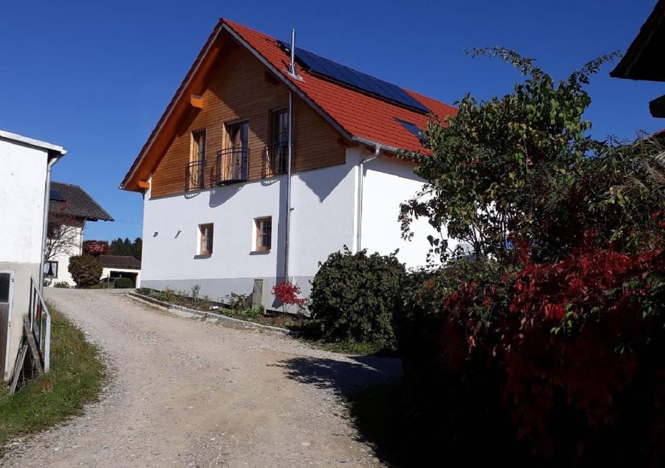 Property building, Day, Summer, Garden