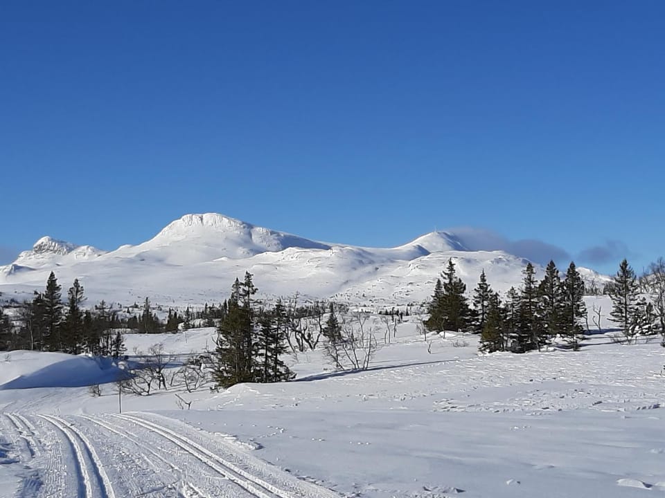 Gamlestugu Greivjord Fjellgard House in Viken, Norway