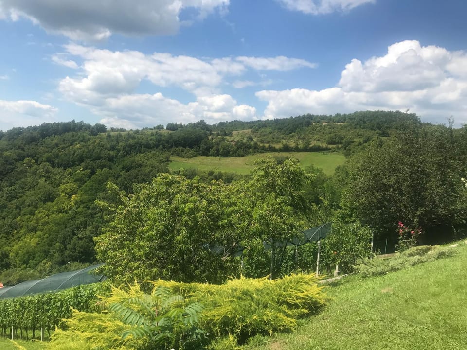 Natural landscape, Garden, Garden view