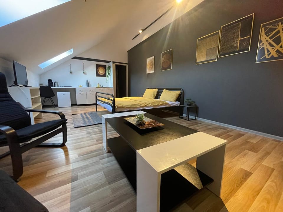 Savoya nr3 Studio Old City Center Self check-in Apartment in Timisoara