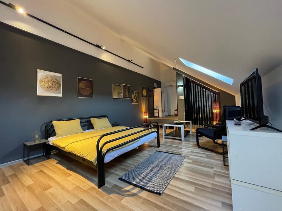 Savoya nr3 Studio Old City Center Self check-in Apartment in Timisoara