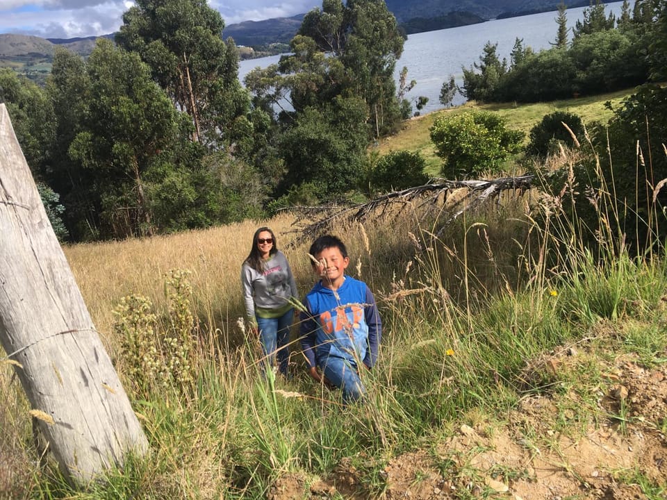 Natural landscape, Activities