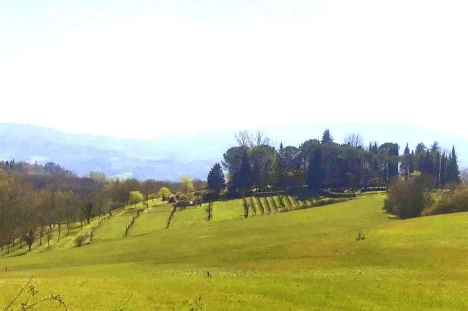 Property building, Natural landscape, Mountain view
