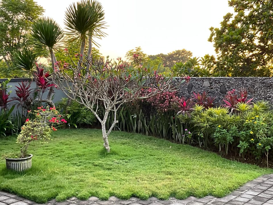 Villa Rosa Nature lodge in Abang