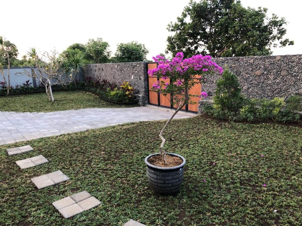 Villa Rosa Nature lodge in Abang