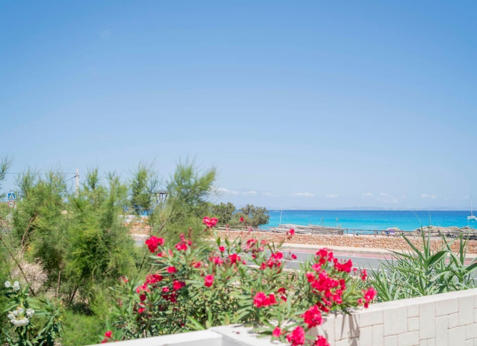 Patio, View (from property/room), Balcony/Terrace, Sea view, Street view