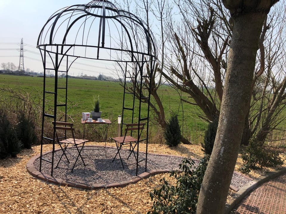 Garden, Balcony/Terrace