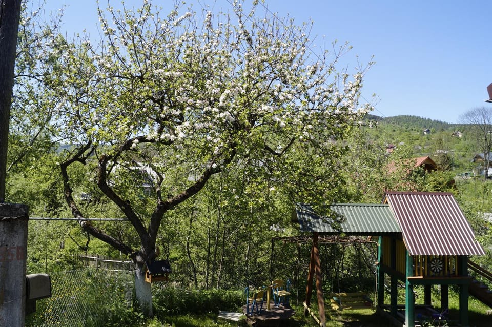 Будиночок в Карпатах House in Ukraine