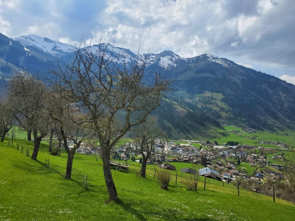 Garden, City view, City view, Garden view, Mountain view, Mountain view