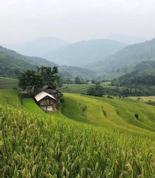 Nearby landmark, Natural landscape, View (from property/room), Mountain view