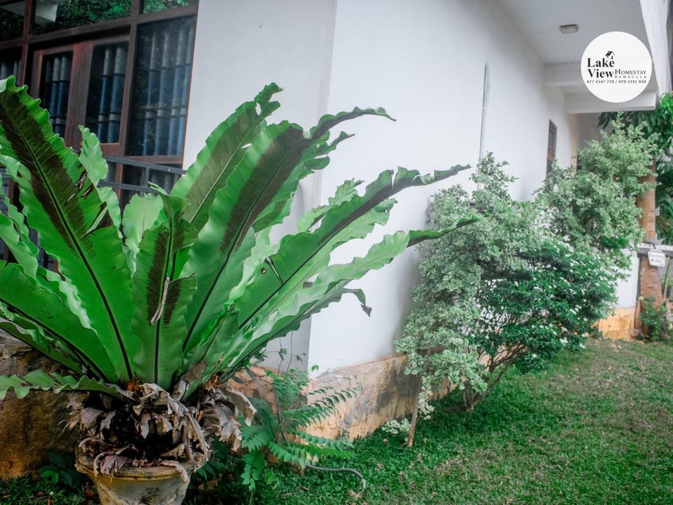 Lake View Dambulla Bed and Breakfast in Dambulla