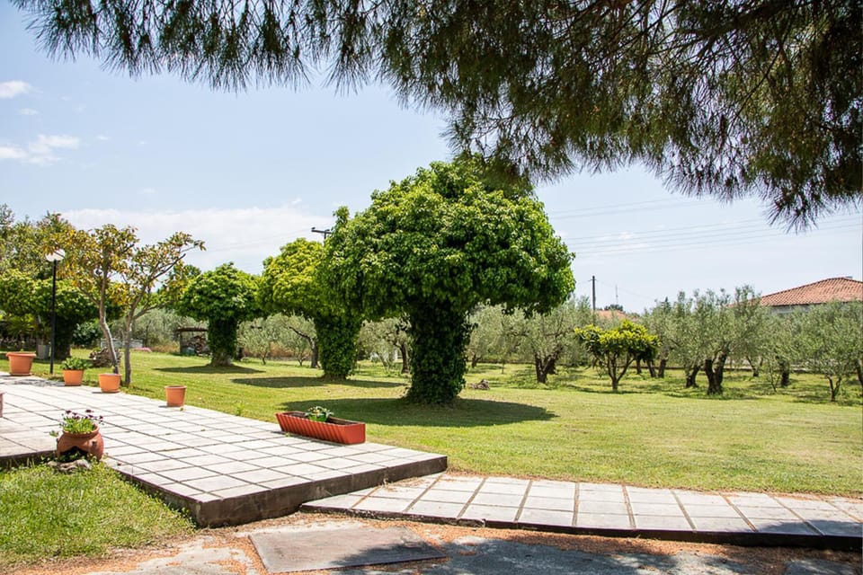 Olivemare Holidays Apartment in Halkidiki