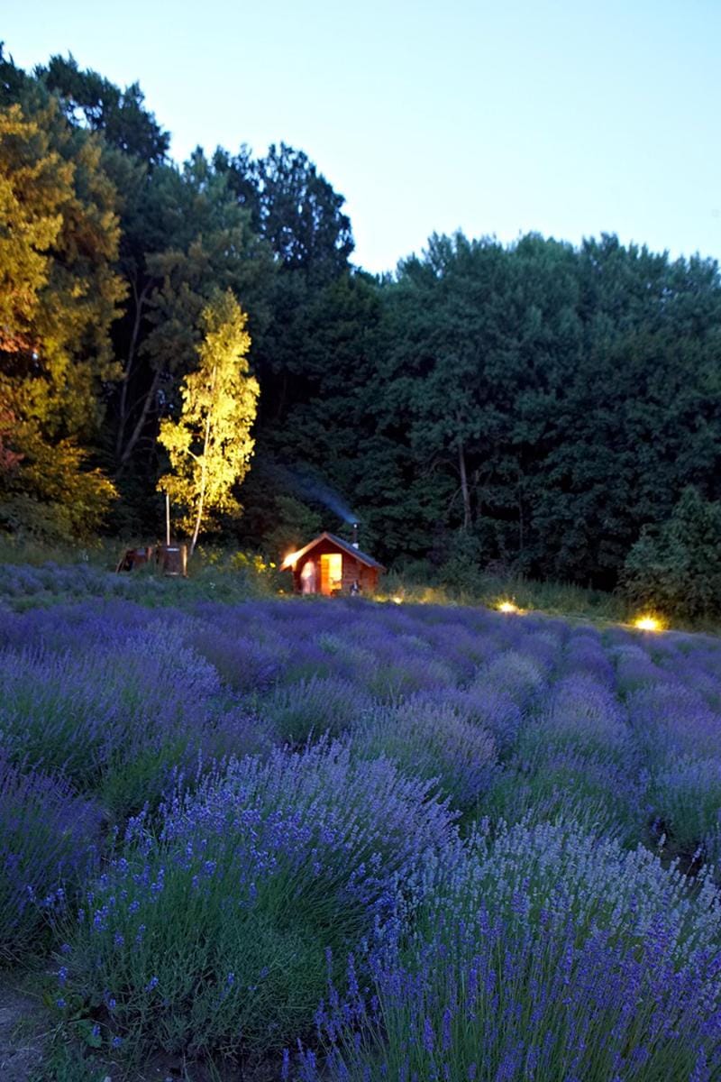 Natural landscape, Hot Tub, Sauna, Garden view