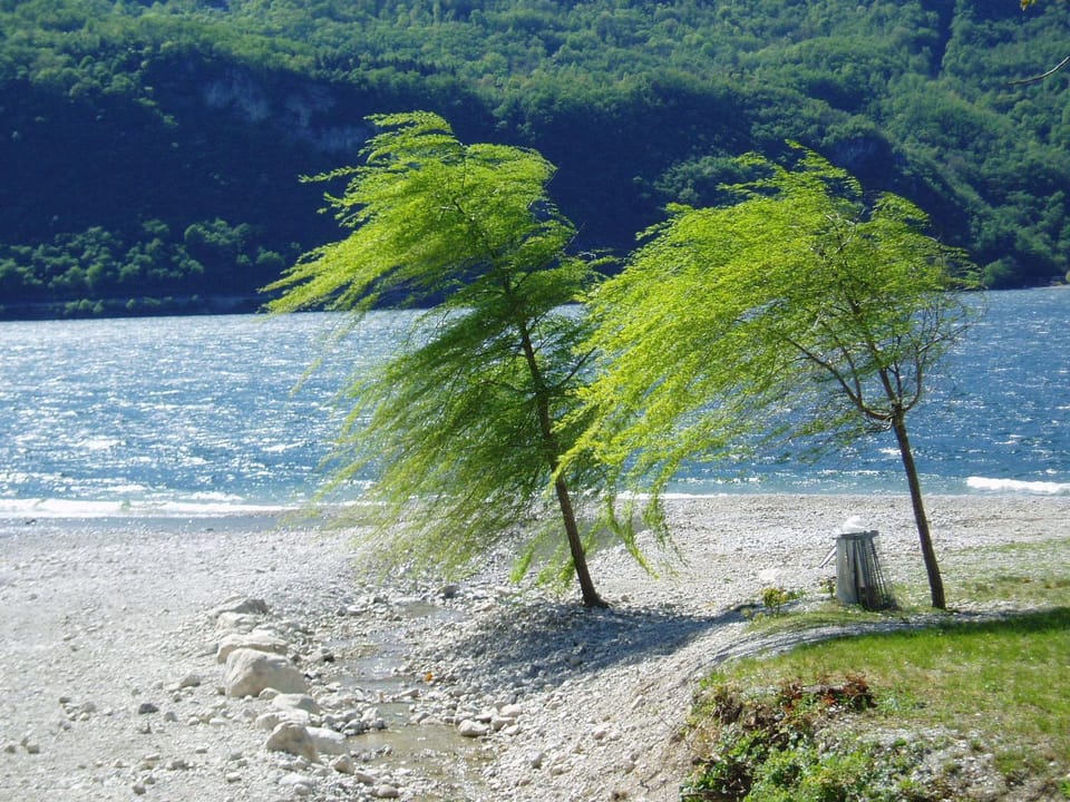Natural landscape