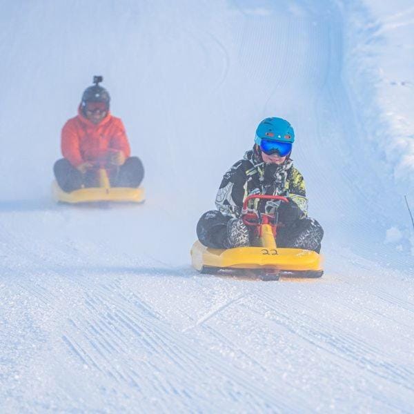 Day, Activities, Winter, Skiing