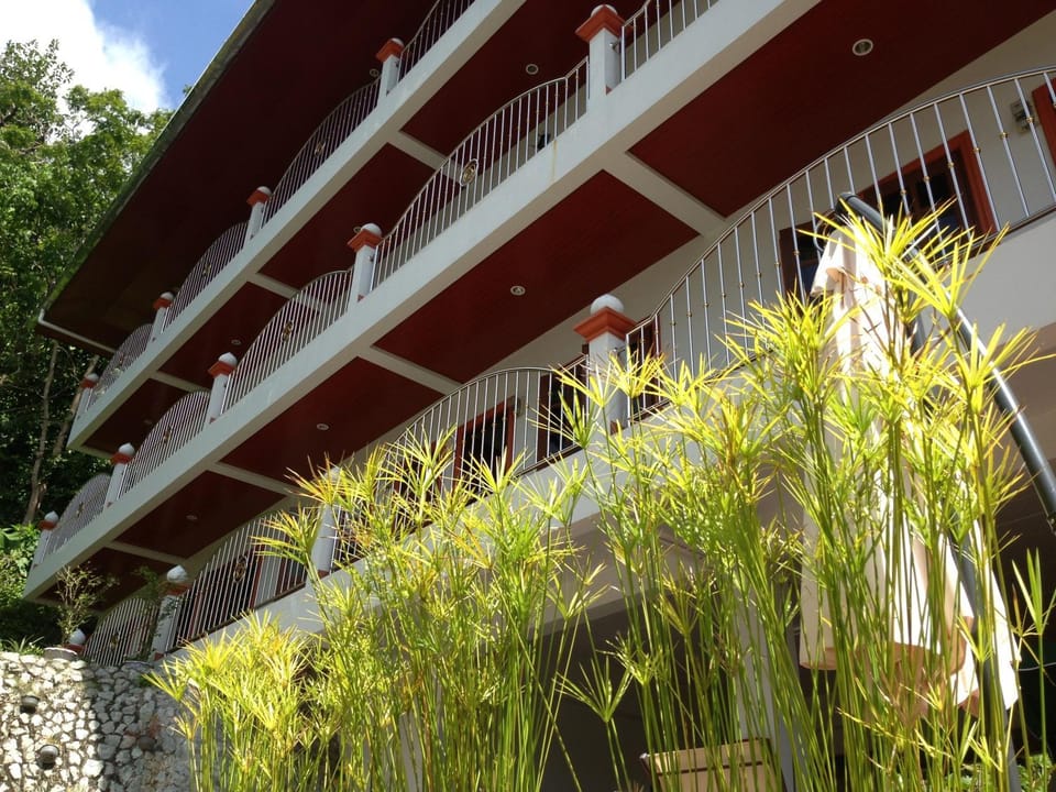 Property building, Facade/entrance, Garden, Garden view