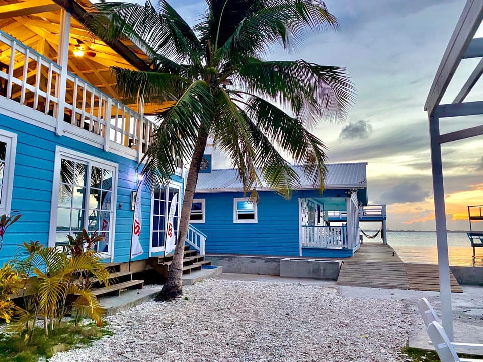 Restaurant/places to eat, Lounge or bar, Diving
