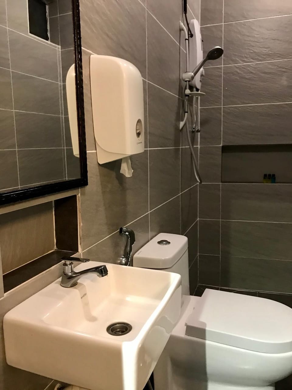Shower, Toilet, Bathroom, bidet