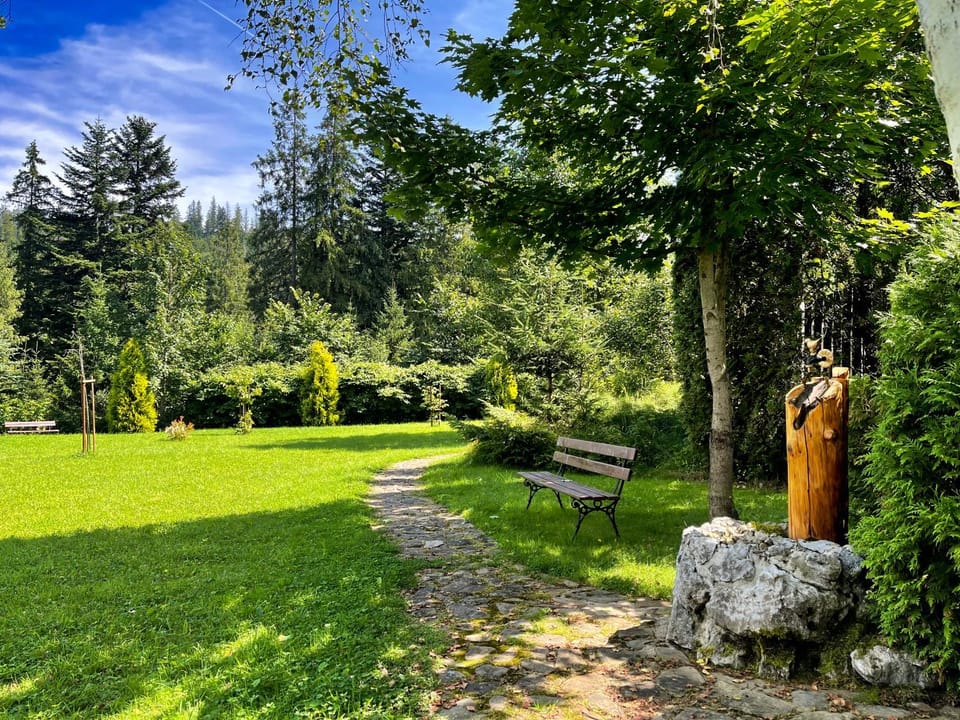 Day, Natural landscape, Garden