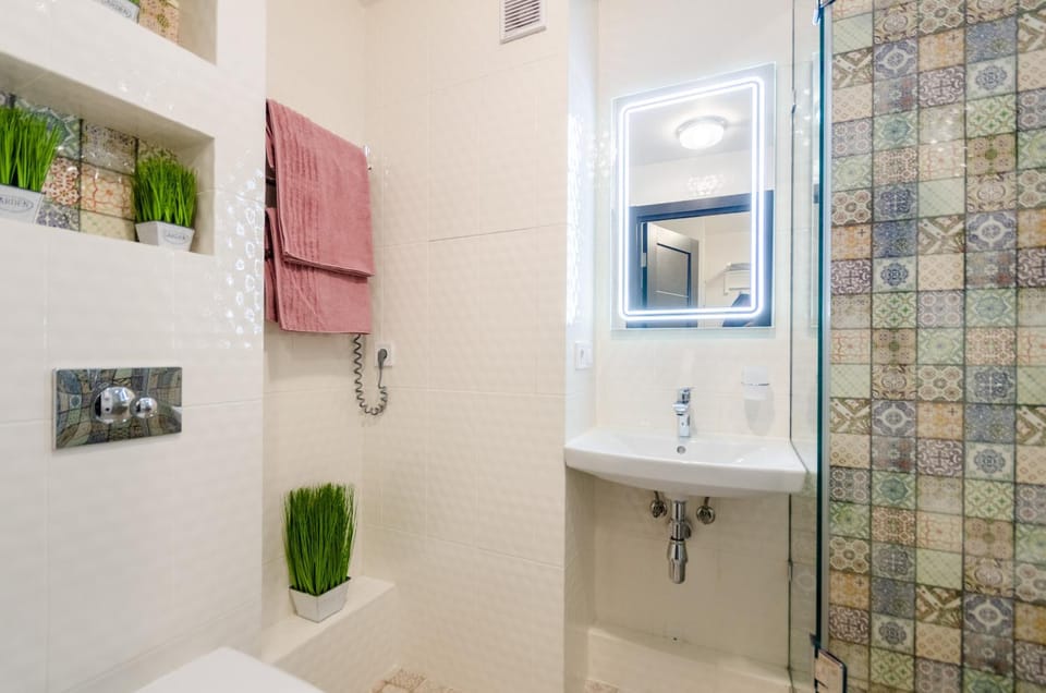 Shower, Toilet