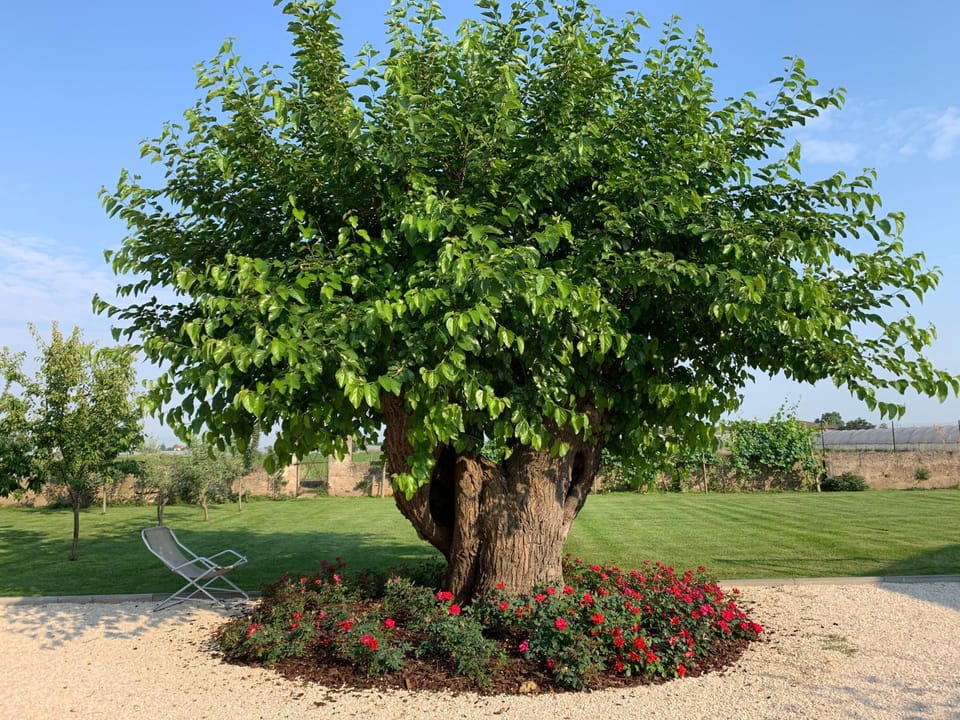 B&B Nonna Teresa Bed and Breakfast in Province of Brescia