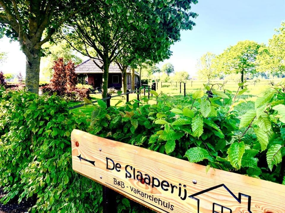 Natural landscape, Garden, Garden view