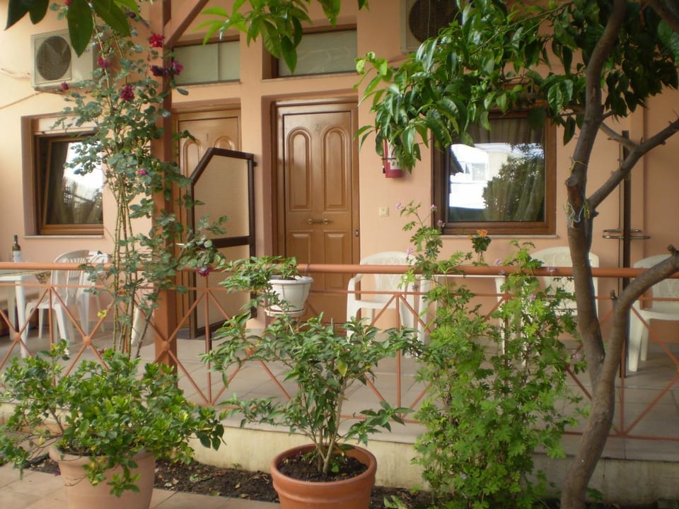Patio, Garden view