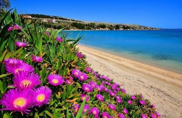 Little Heaven on Earth - Apartmani Martina Bed and Breakfast in Zadar County