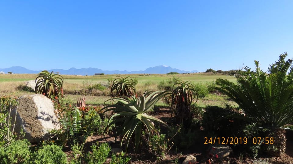 Garden, Mountain view