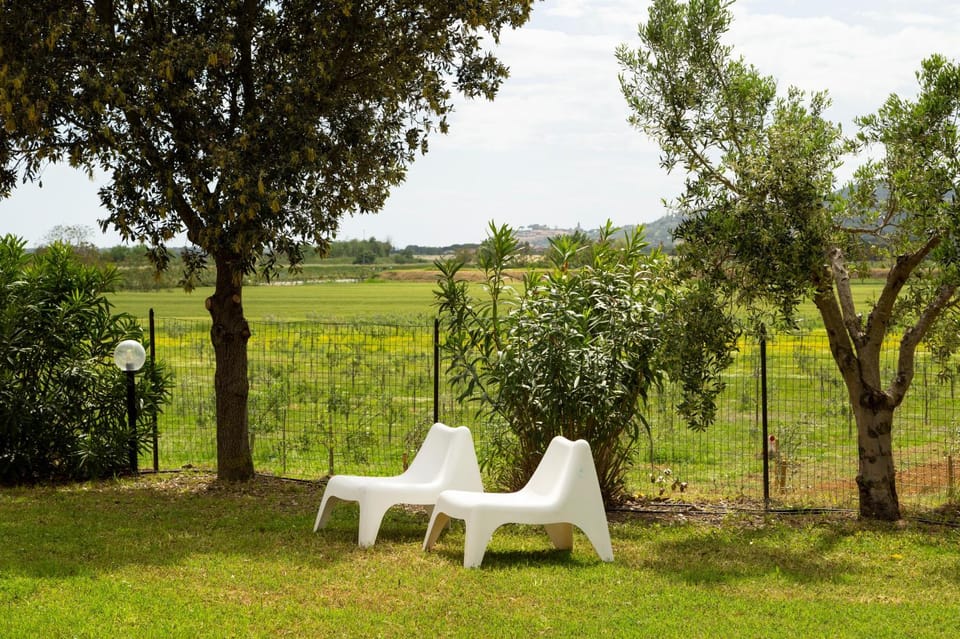 Garden, City view, Garden view, Landmark view