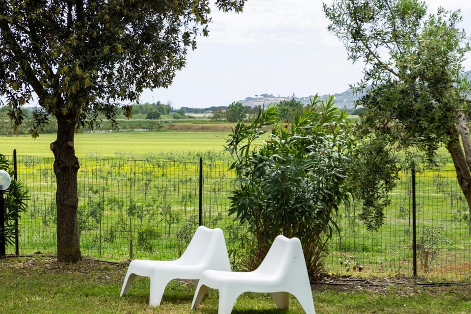 Garden, Garden view