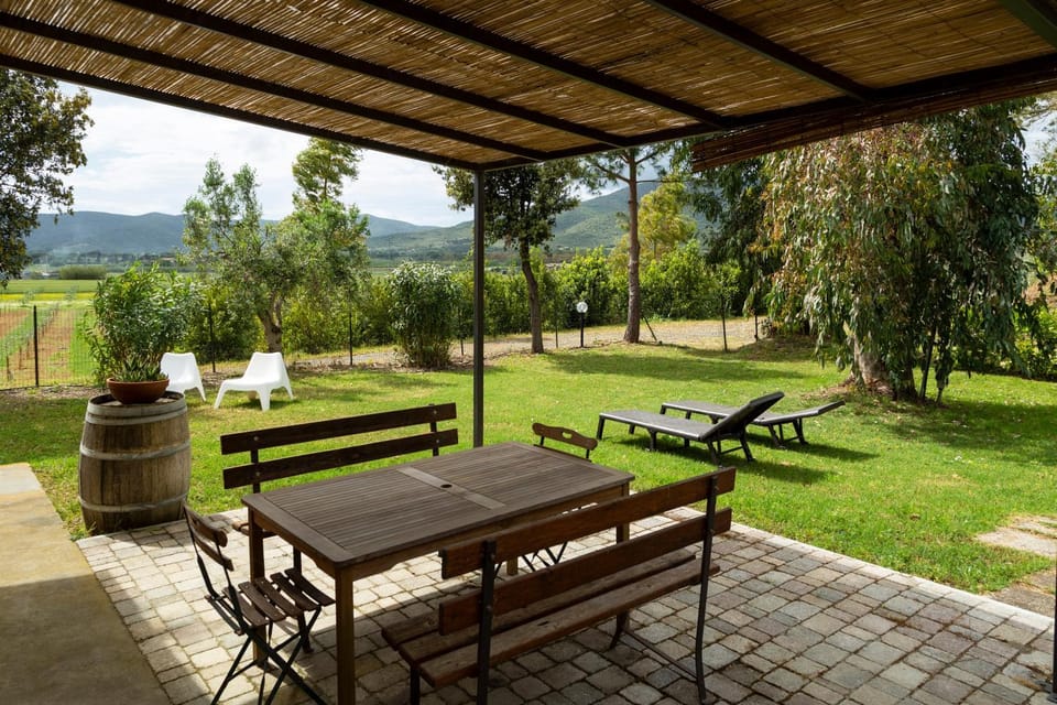 Patio, Garden