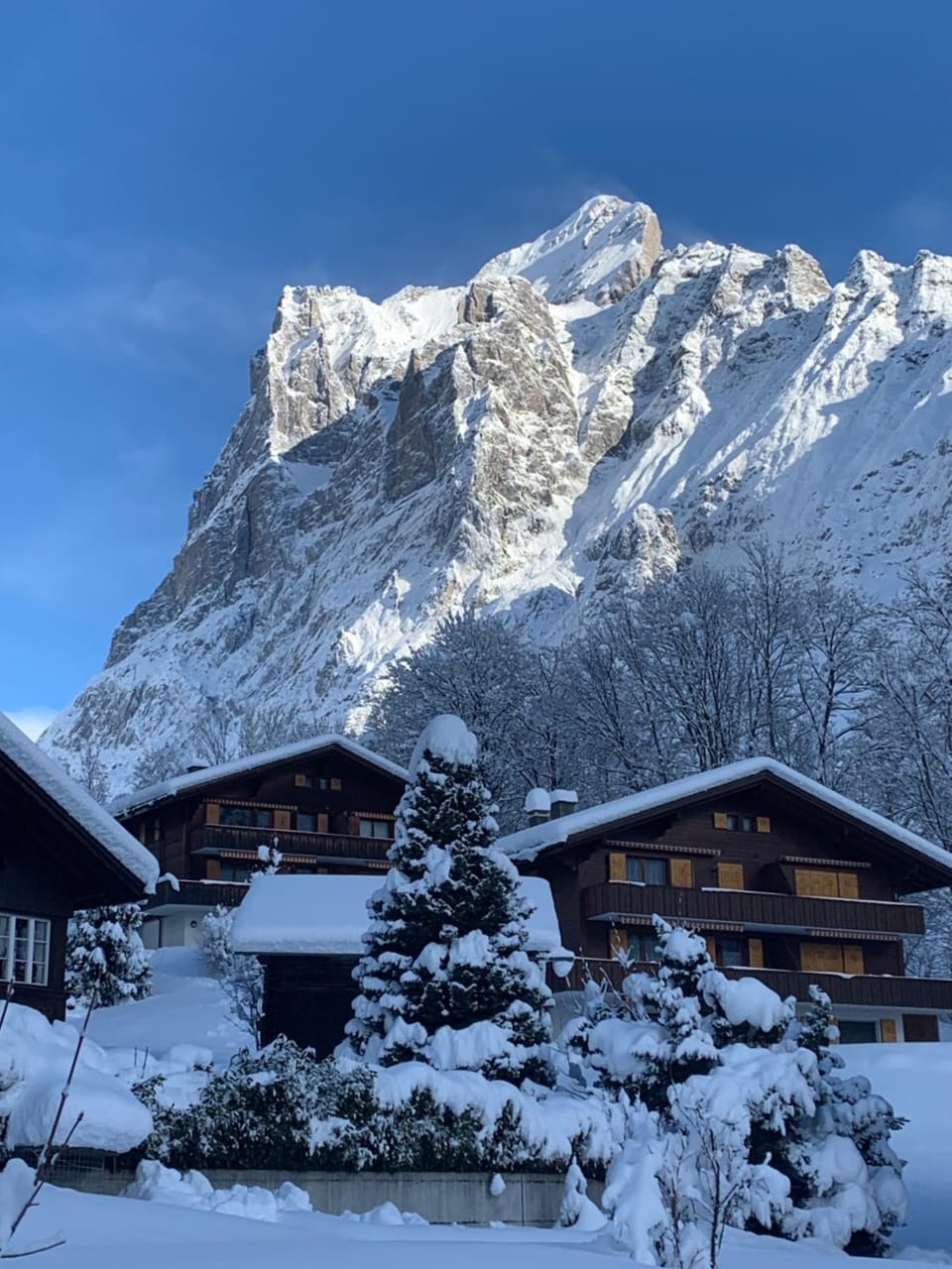Property building, Neighbourhood, Natural landscape, Winter