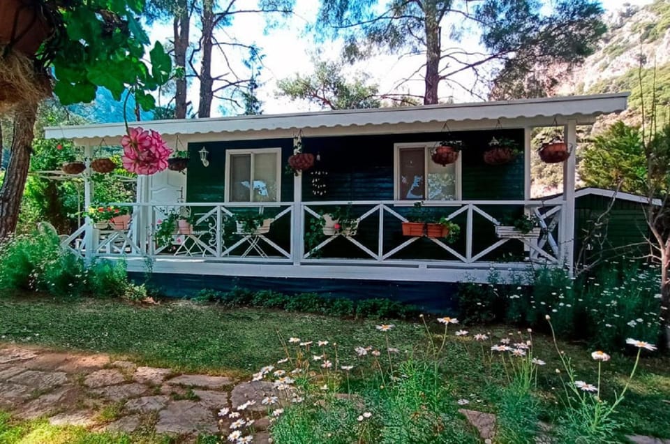 Patio, Facade/entrance, Garden