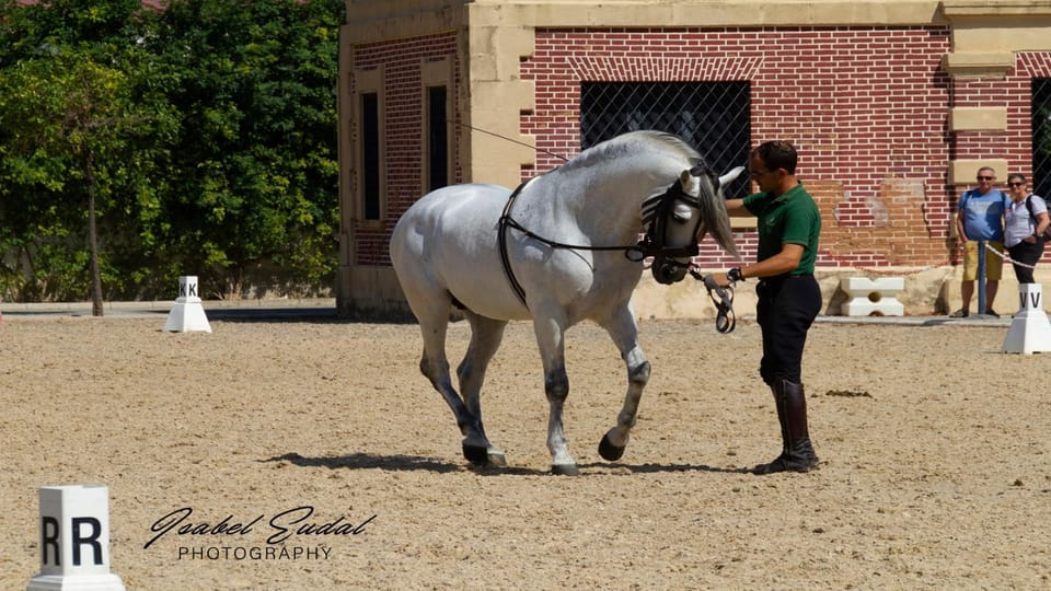Horse-riding