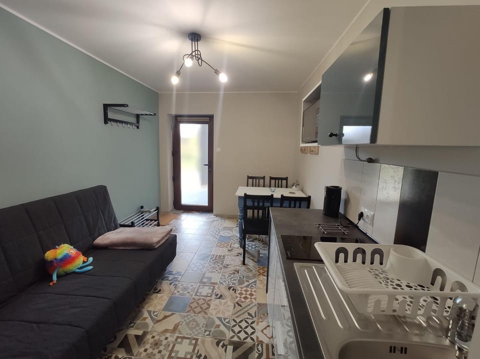 Kitchen or kitchenette, Living room, Seating area, Dining area