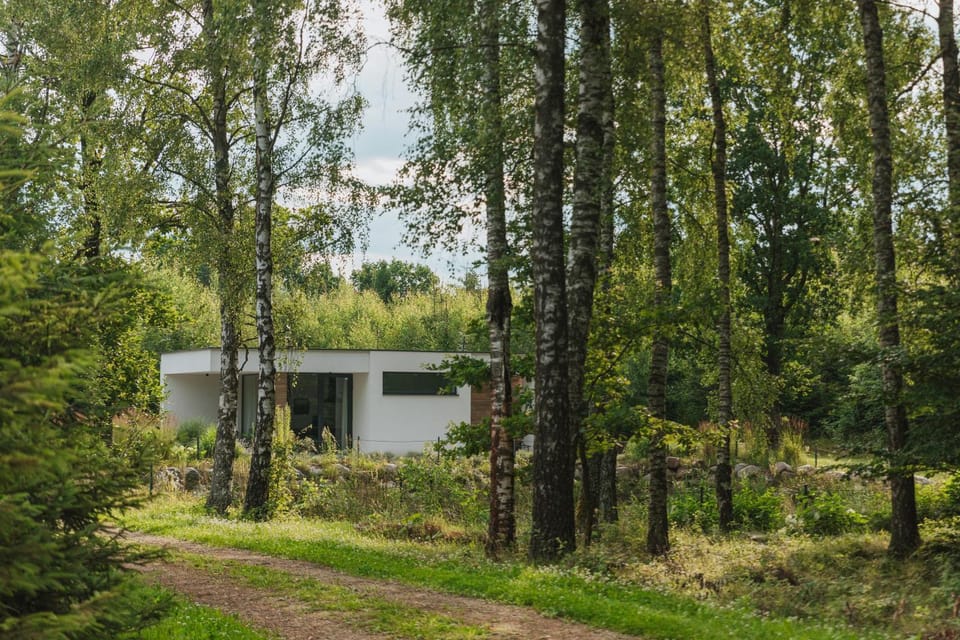 Property building, Natural landscape, Other