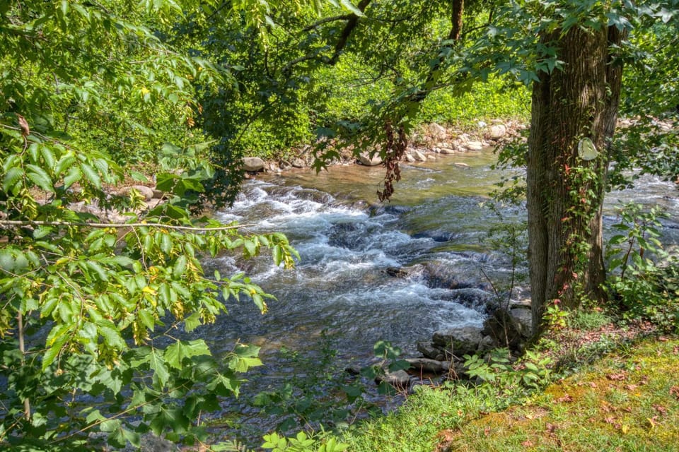 River Dream #466 House in Gatlinburg