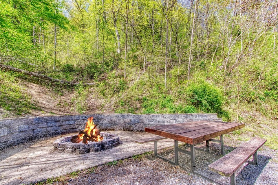 Mystical Creek Pool Lodge #600 House in Cosby