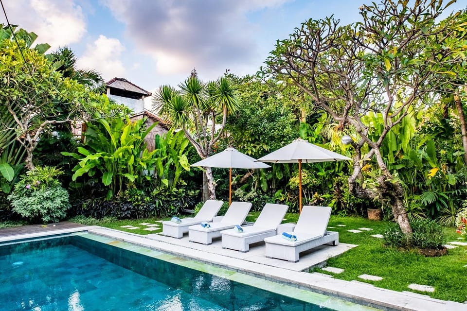 Garden, Garden view, Pool view, Swimming pool, sunbed