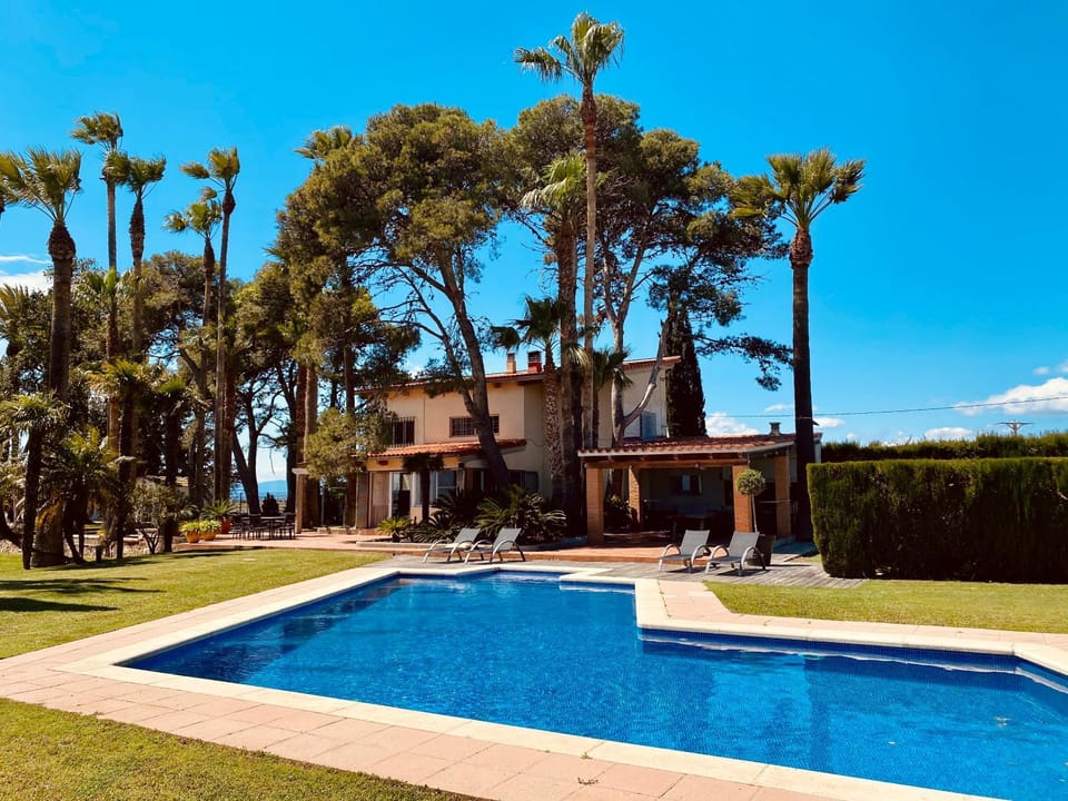 Day, Garden, Swimming pool