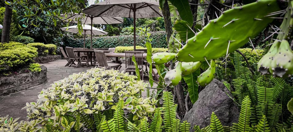 Garden view