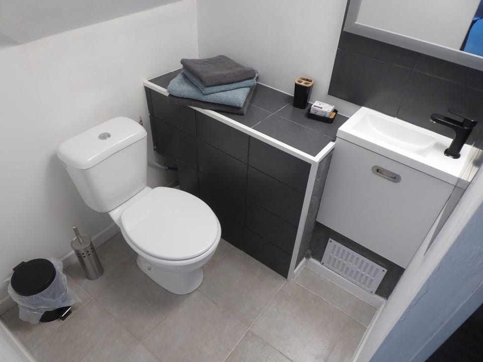 Shower, Toilet, Bathroom, towels
