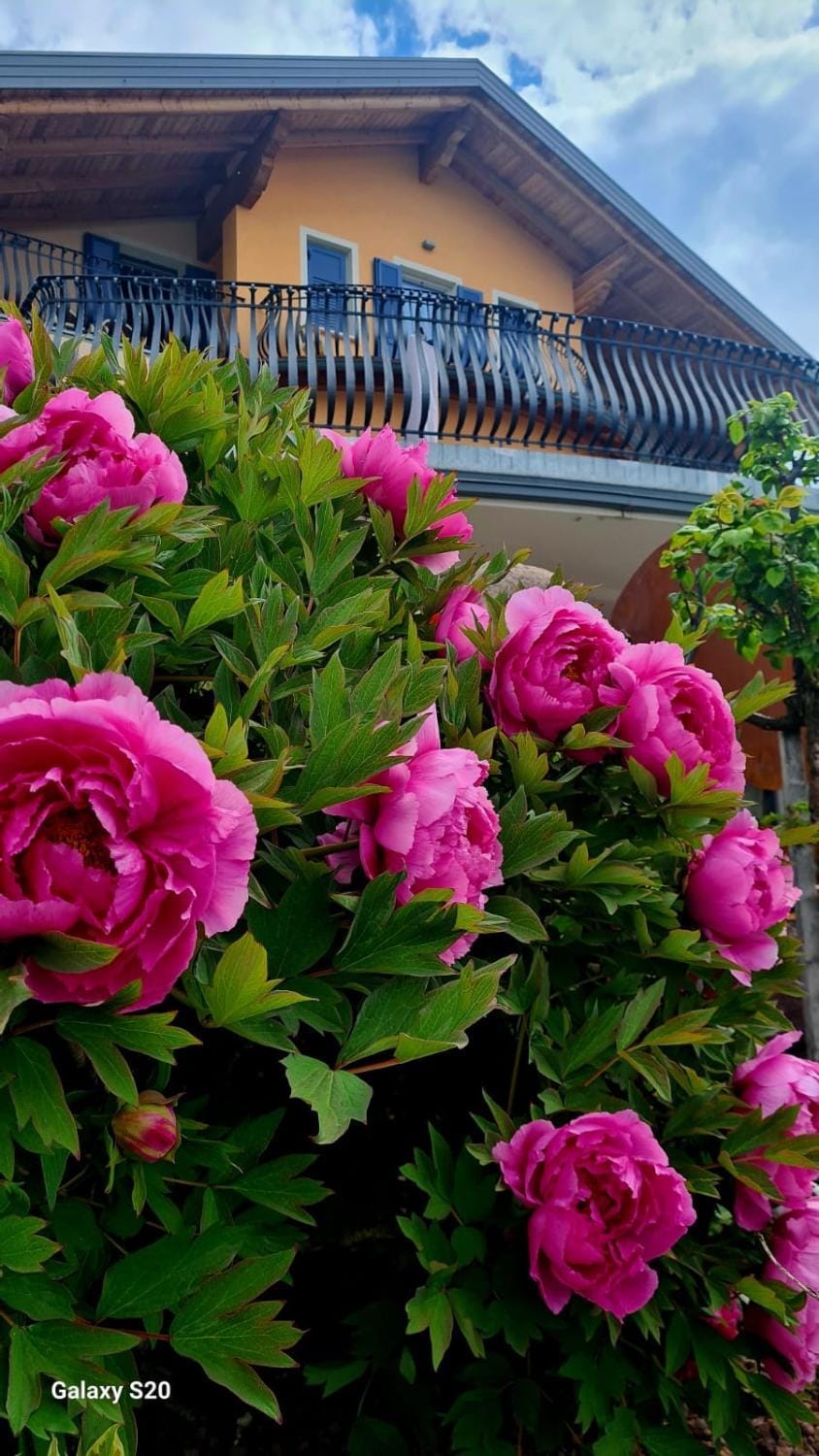 Affittacamere Dolce Sogno Bed and Breakfast in Trentino-South Tyrol
