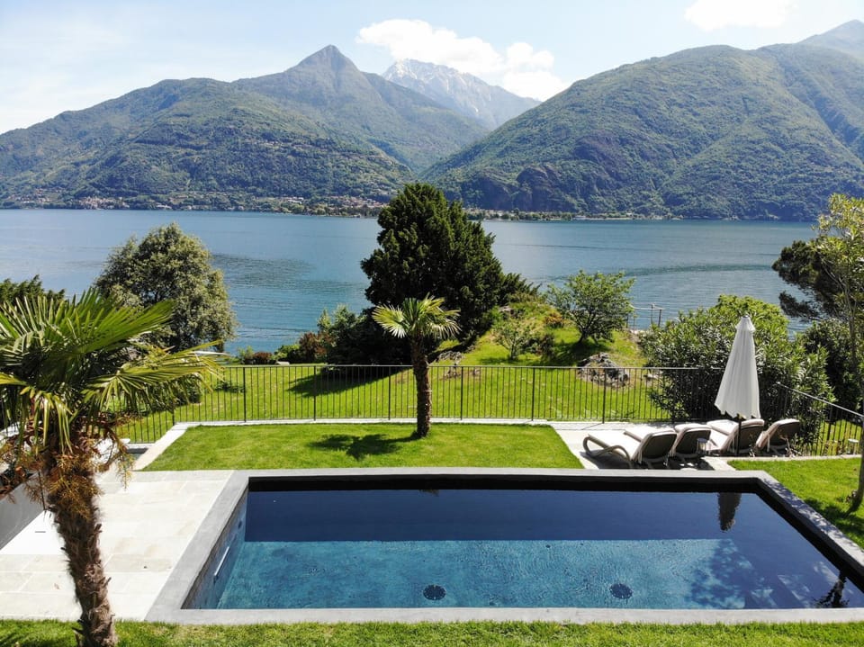 Garden, Swimming pool, Swimming pool, sunbed