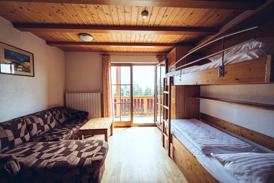 Living room, bunk bed