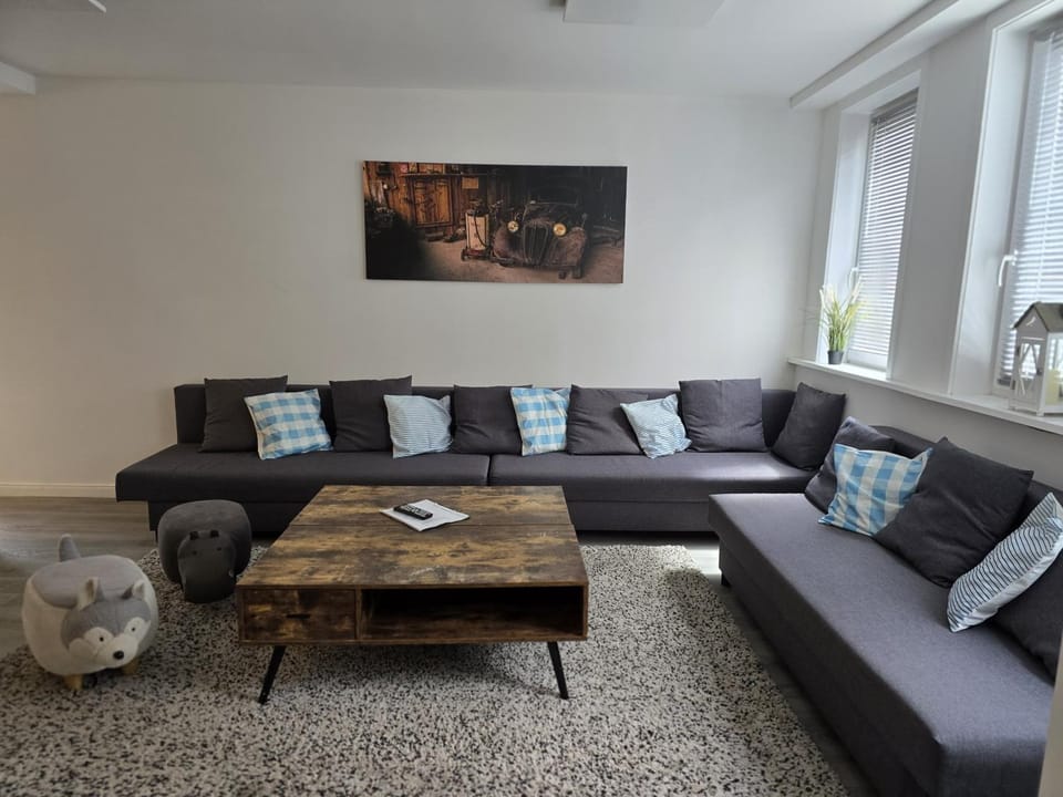 Großes schönes Ferienhaus mit Garten für 12 Personen erwartet Sie im Harz! Apartment in Lower Saxony, Germany